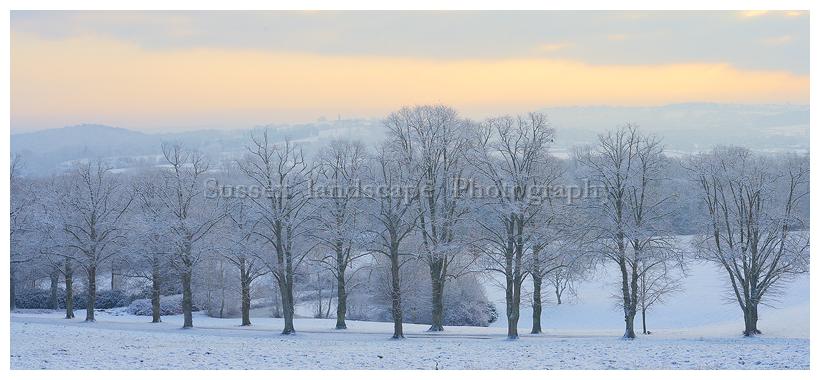 slides/Toat Monument in snow.jpg snow,toat monument,south downs national park,simon parsons,lime trees,winter,light,sunrise Toat Monument in snow